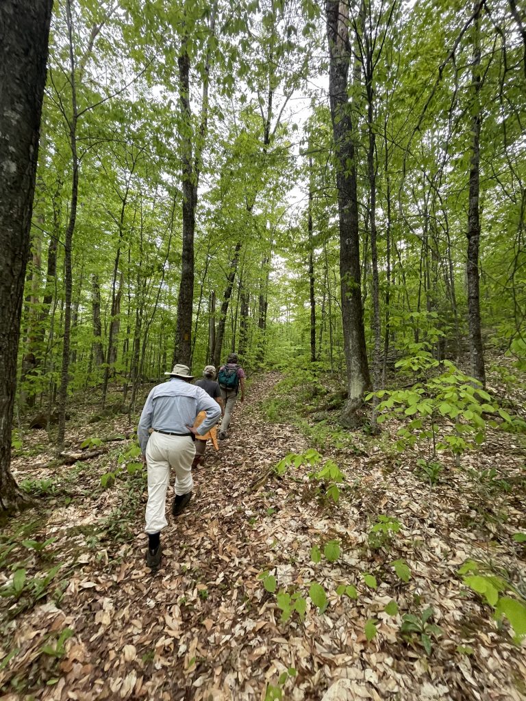 Ash Tree Tour at Hubbard Brook Experimental Forest with Matt Ayres and Jeff Garnas