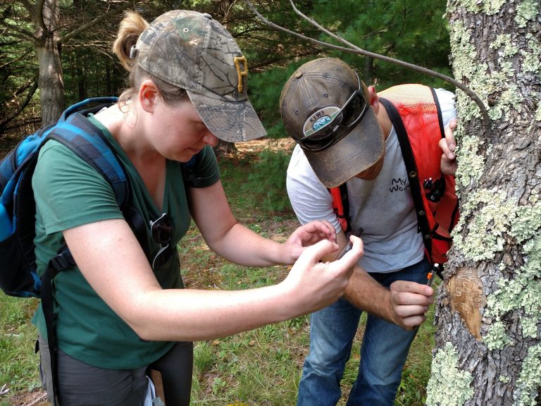 Monitoring and Managing Ash (MaMA) workshop at HBEF: Hands-on training in how to help enable lingering ash detection for resistance breeding