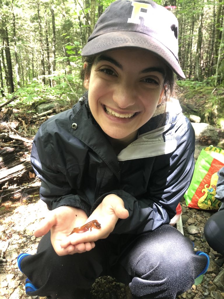 How do Species Matter? The Potential Effects of the Decline of White Ash (Fraxinus Americana) on Flora and Fauna