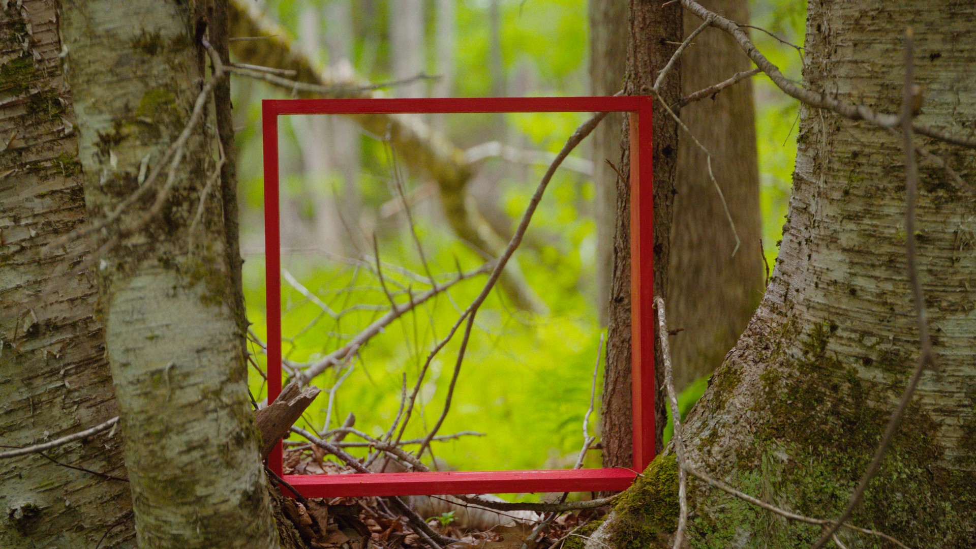 Observer - Film Screening and Outdoor Exploration