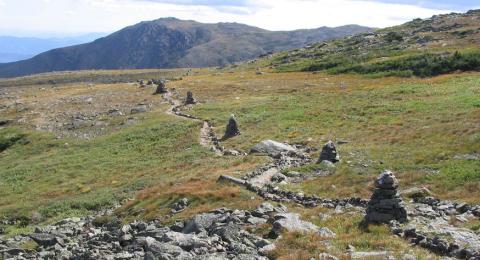 The Cairns alpine garden trail