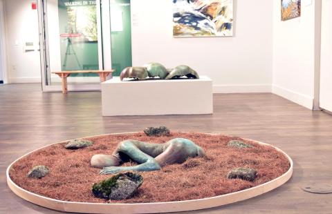 Walking in the Whites exhibition