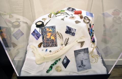 Walking in the Whites exhibition