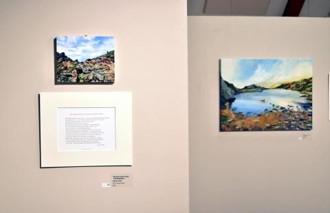 Walking in the Whites exhibition