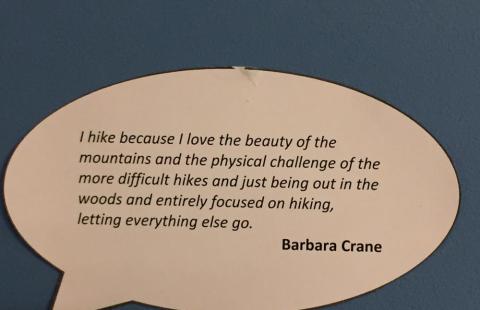 Why Hike Interactive Exhibition