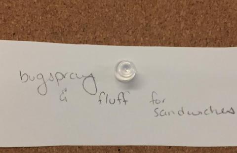 Why Hike Interactive Exhibition