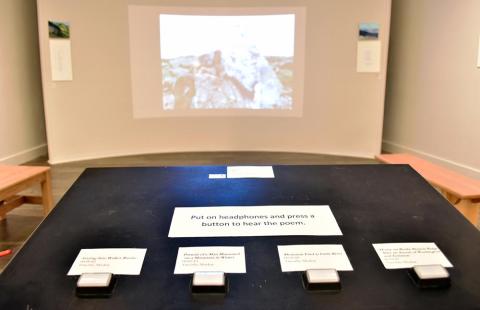 Walking in the Whites exhibition