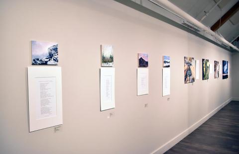 Walking in the Whites exhibition