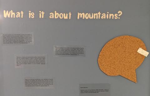 Why Hike Interactive Exhibition