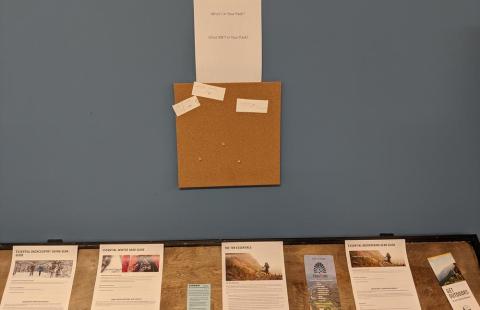 Why Hike Interactive Exhibition