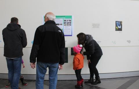 vernal pool event photos