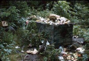 Garbage piling up at the Liberty Spring Shelter in 1962