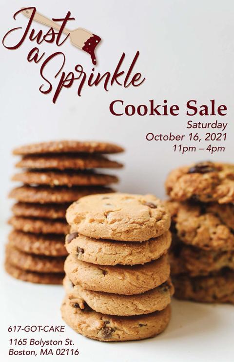 Bryana Reardon BFA 2021 Exhibition