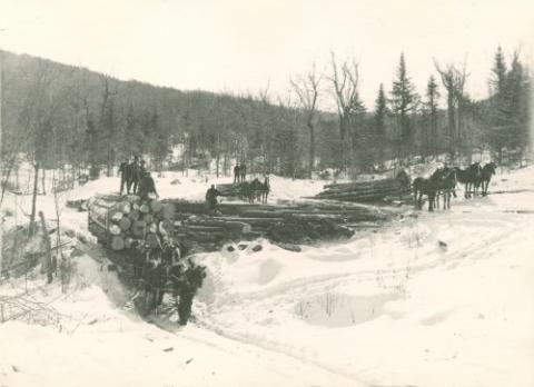 men loading logs in the winter