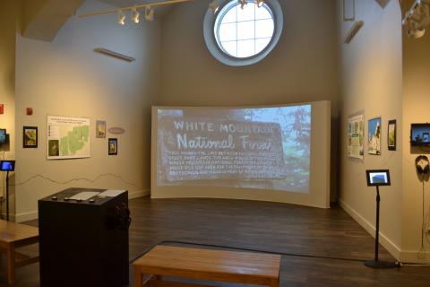 Bicknell's Thrush Exhibition in Main Gallery