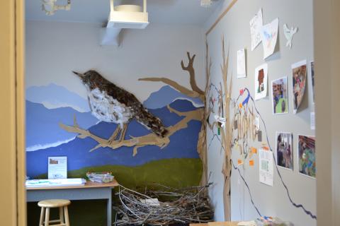 Bicknell's Thrush Exhibition in Main Gallery