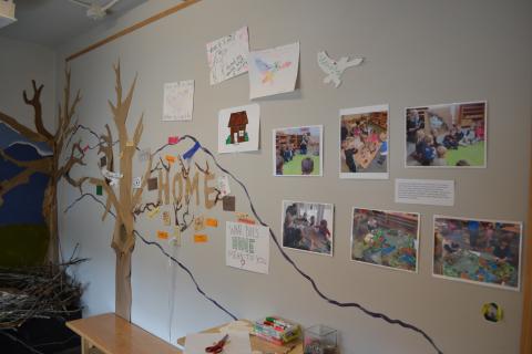 Bicknell's Thrush Exhibition in Main Gallery