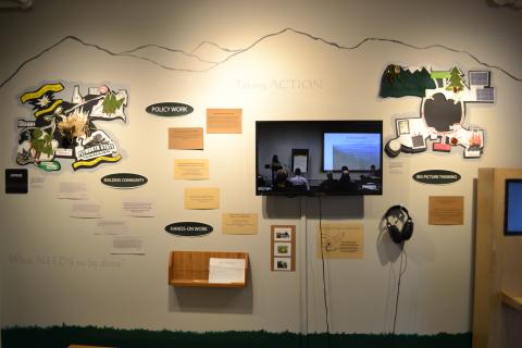 Bicknell's Thrush Exhibition in Main Gallery