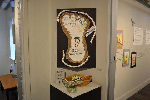 Bicknell's Thrush Exhibition in Main Gallery