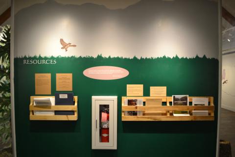 Bicknell's Thrush Exhibition in Main Gallery