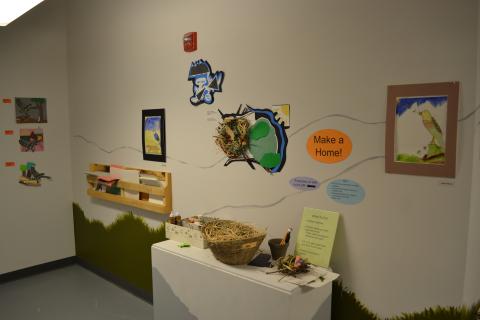 Bicknell's Thrush Exhibition in Main Gallery