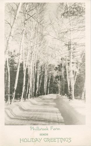 shorey entrepreneur 2