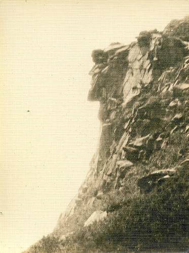 shorey entrepreneur 1