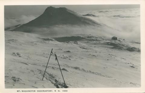 shorey entrepreneur 2