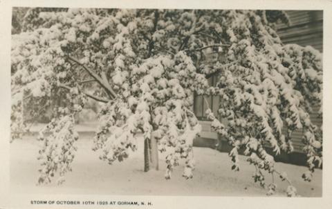 shorey entrepreneur 2