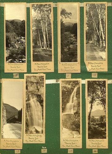 shorey entrepreneur 1