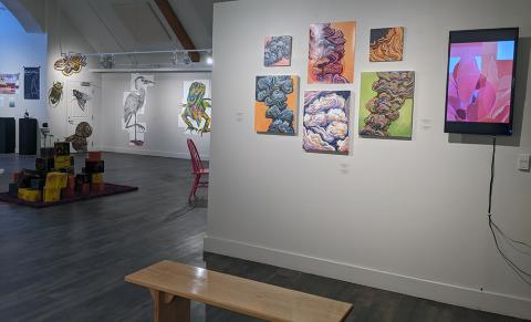 Bachelor of Fine Arts Exhibition 2021