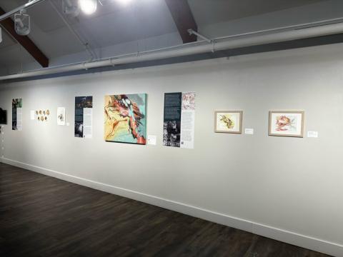 Rebecca Schultz, Field Station Exhibition