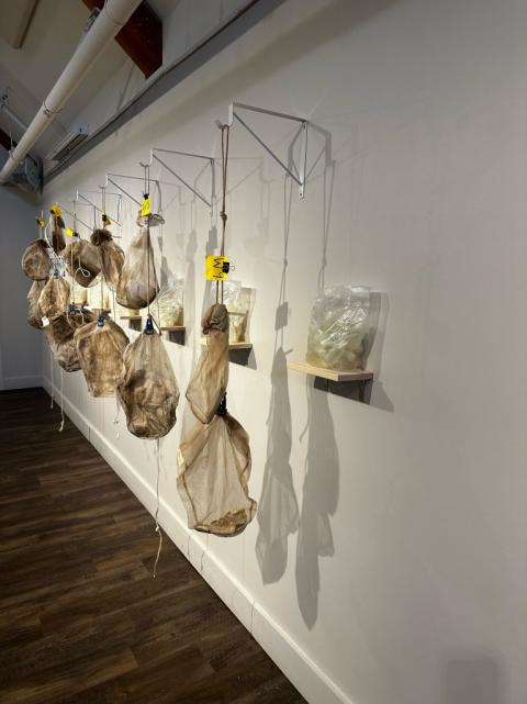 IMG_3685-768x1025-xavier-cortada