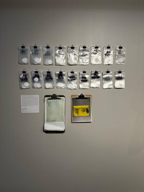 IMG_3687-768x1025-xavier-cortada