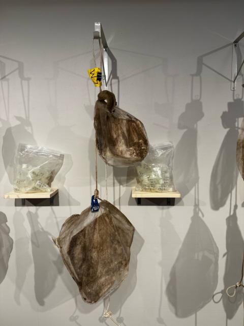 IMG_3697-768x1025-xavier-cortada