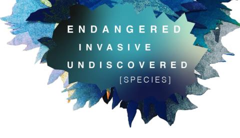 endangered Invasive and Undiscovered 