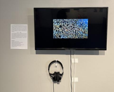 Still form Recording in Hubbard Brook, 2019 | 2022