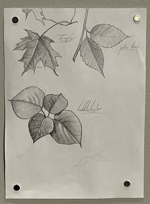 Raisa-leaves-768x1042-raisa-kochmaruk