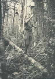 A Dartmouth Outing Club member lays out the route of the new Hurricane Trail on Mount Moosilauke in 1935