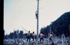 An Appalachian Mountain Club enjoys a unique treetop view of the Mahoosucs