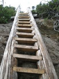 Wooden ladder constructed by the Appalachian Mountain Club