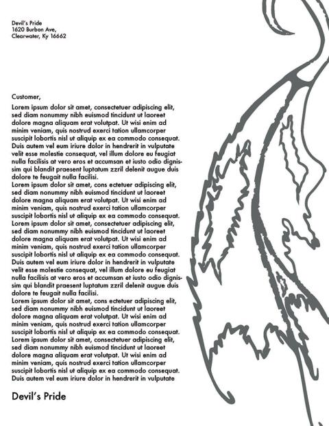 Nathan Simmons 2021 BFA Exhibition