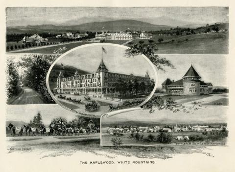 The Maplewoood, White Mountains postcard