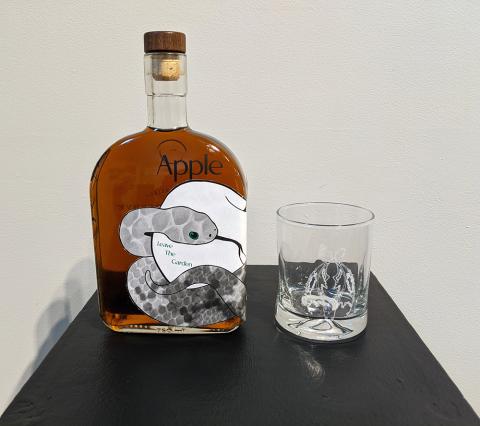 Nathan Simmons 2021 BFA Exhibition