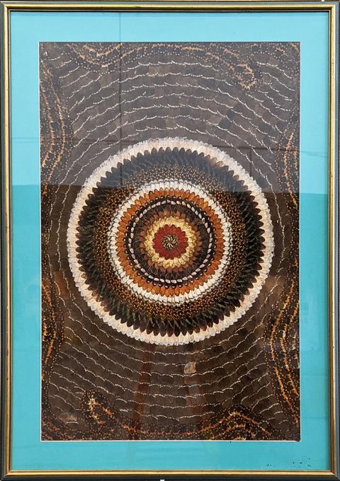 Plymouth State in 150 Objects exhibition 2010s African butterfly art