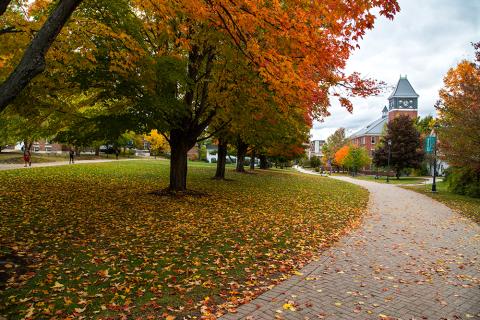 Fall foliage at PSU in the 2010s