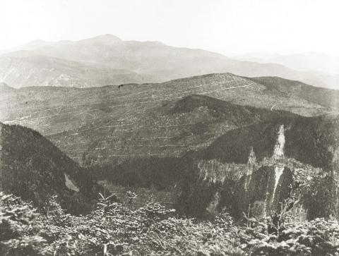 Clear Cuts with Roads.