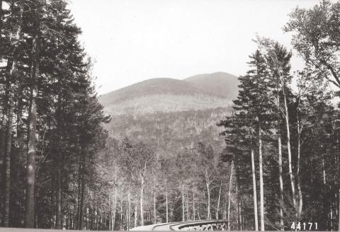 Logging railroad trestle and cutover slopes showing clearcut forest