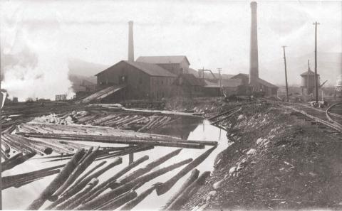 Mill Log Pond with floating logs