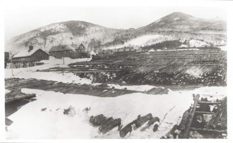 Over one million board feet of logs in Lincoln